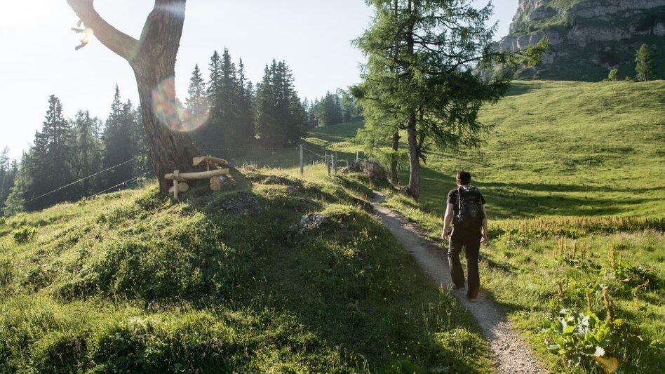Hiking route From hut to hut in the National park Gesäuse Stage 05B Weidendom - Admonterhaus - Touren-Impression #2.7 | © TV Gesäuse