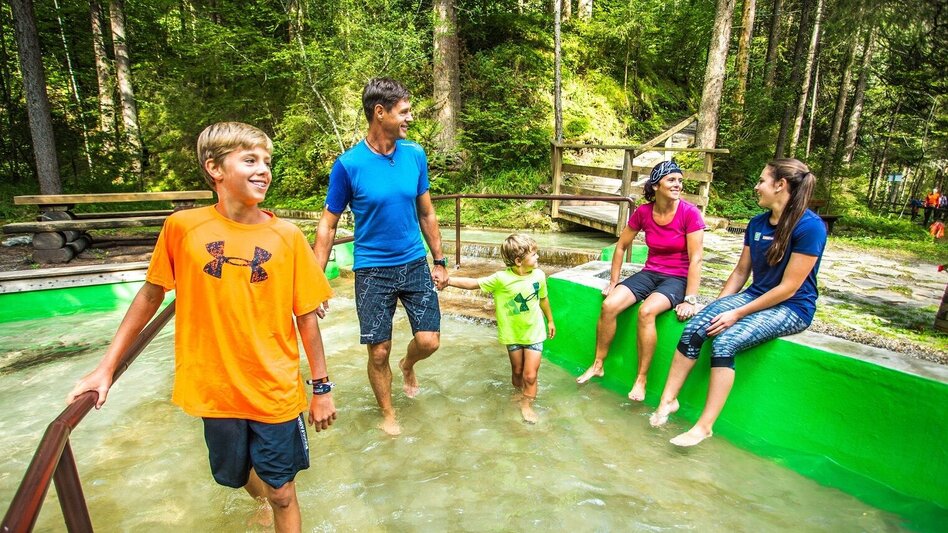 Hiking route Markt Haus - Weißenbach - Sonnberg - Gradenbach - Markt Haus - Touren-Impression #2.5 | © TVB Haus-Aich-Gössenberg@René Eduard Perhab