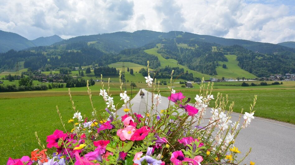 Hiking route Markt Haus - Brinberg - Weißenbach - Markt Haus - Touren-Impression #2.2 | © Marktgemeinde Haus
