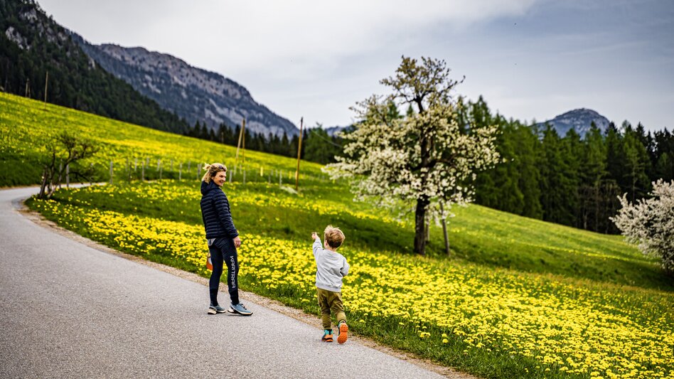 Hiking route Birnberg circular walking path - Touren-Impression #2.1 | © Gerhard Pilz
