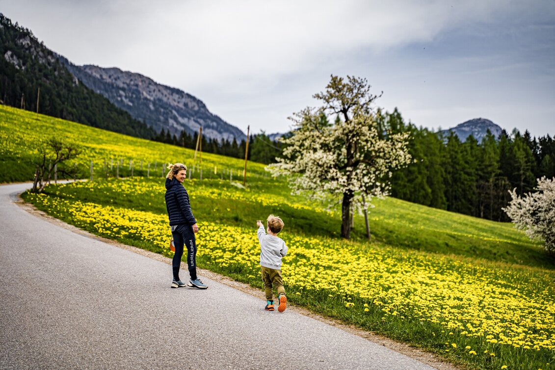 Hiking route Birnberg circular walking path - Touren-Impression #1 | © Gerhard Pilz