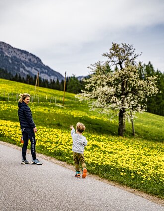 Gerhard Pilz | © Gerhard Pilz