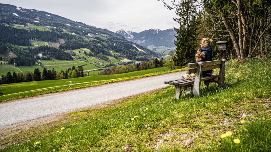Hiking route Birnberg circular walking path - Touren-Impression #2.2 | © Gerhard Pilz