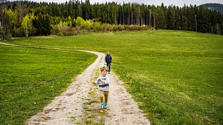 Hiking route Birnberg circular walking path - Touren-Impression #2.3 | © Gerhard Pilz