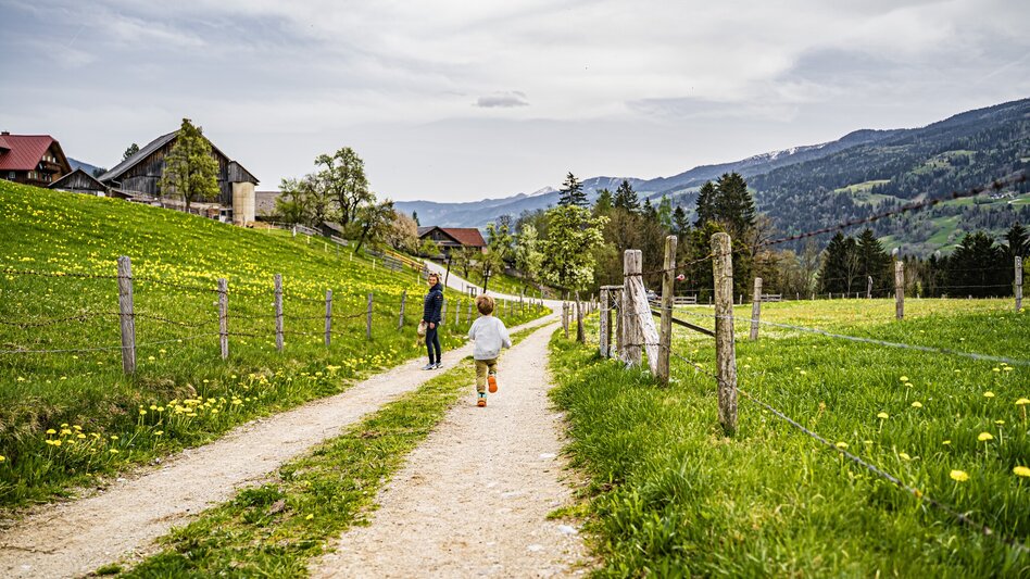 Hiking route Birnberg circular walking path - Touren-Impression #2.4 | © Gerhard Pilz