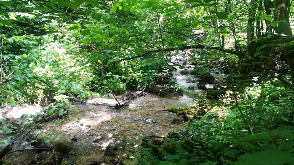 Wanderung Luserwasserfall-Runde - Touren-Impression #2.2 | © TVB Haus-Aich-Gössenberg