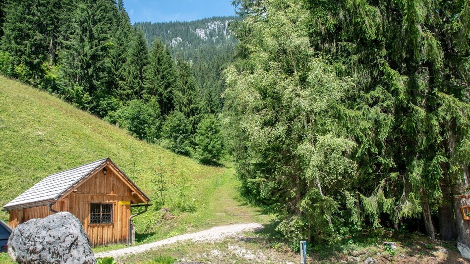 Themen- und Lehrpfad Kupferweg Johnsbach - Touren-Impression #2.3 | © TV Gesäuse