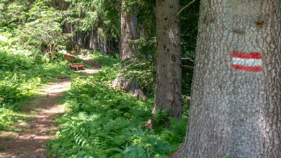 Themen- und Lehrpfad Kupferweg Johnsbach - Touren-Impression #2.5 | © TV Gesäuse