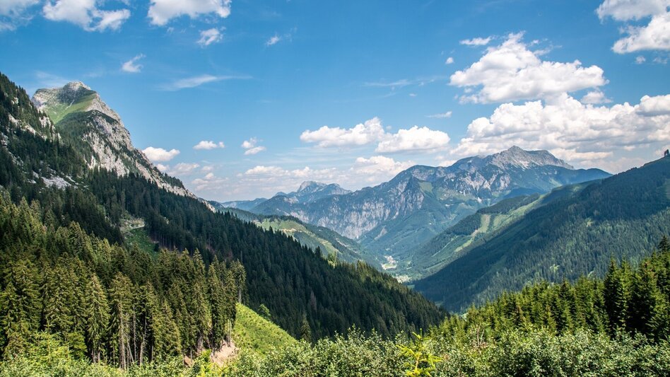 Themen- und Lehrpfad Kupferweg Johnsbach - Touren-Impression #2.6 | © TV Gesäuse