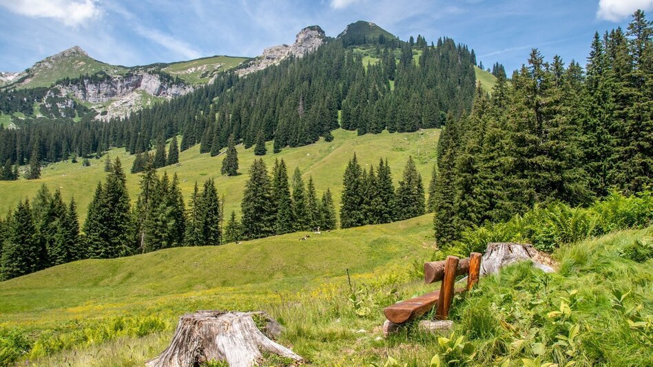 Themen- und Lehrpfad Kupferweg Johnsbach - Touren-Impression #2.8 | © TV Gesäuse