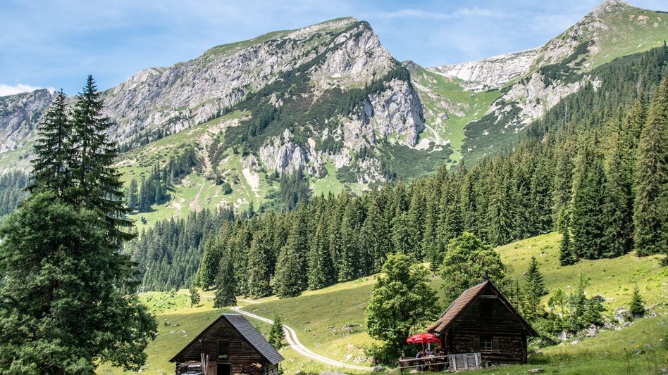 Themen- und Lehrpfad Kupferweg Johnsbach - Touren-Impression #2.10 | © TV Gesäuse
