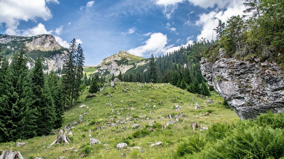 Themen- und Lehrpfad Kupferweg Johnsbach - Touren-Impression #2.11 | © TV Gesäuse