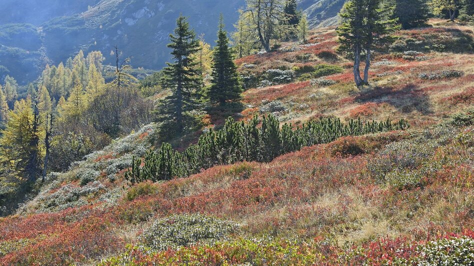 Hiking route Geological hiking trail Gumpeneck - Touren-Impression #2.3 | © Erlebnisregion Schladming-Dachstein