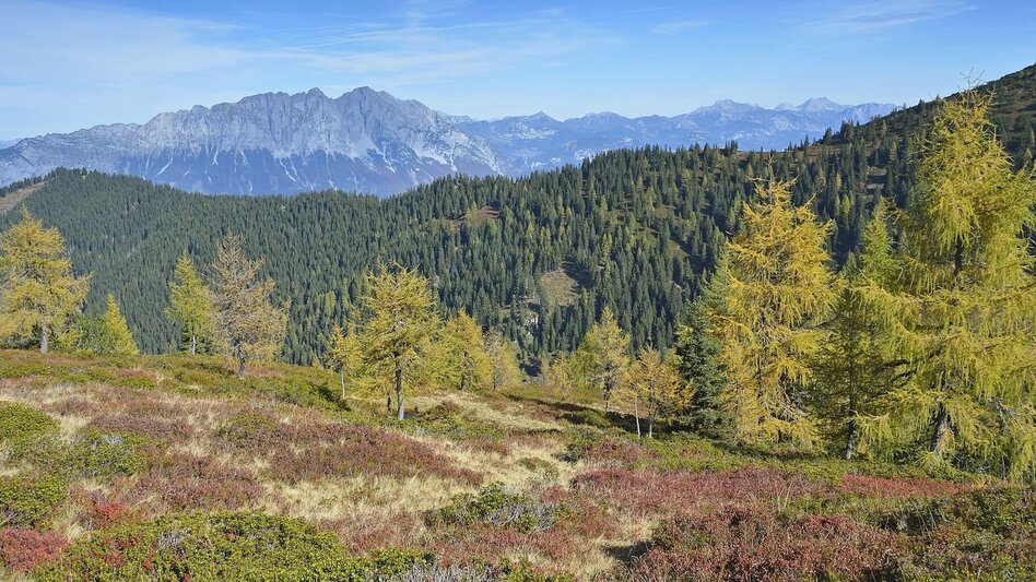Hiking route Geological hiking trail Gumpeneck - Touren-Impression #2.4 | © Erlebnisregion Schladming-Dachstein
