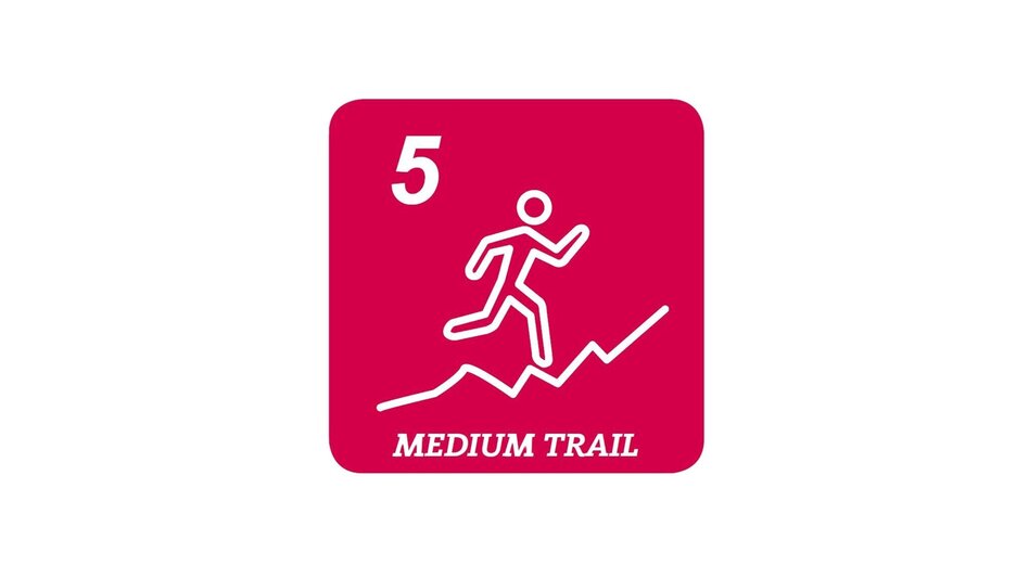 Trail Running Kulmberg Trail (no. 5) - Touren-Impression #2.2 | © Erlebnisregion Schladming-Dachstein