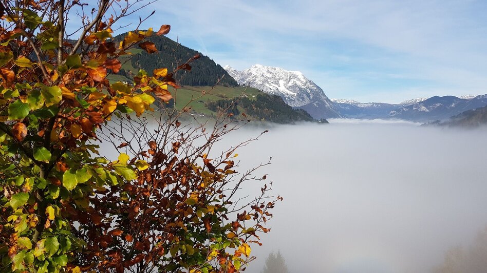 Wanderung Geh in Dich Weg - Touren-Impression #2.4 | © Erlebnisregion Schladming-Dachstein
