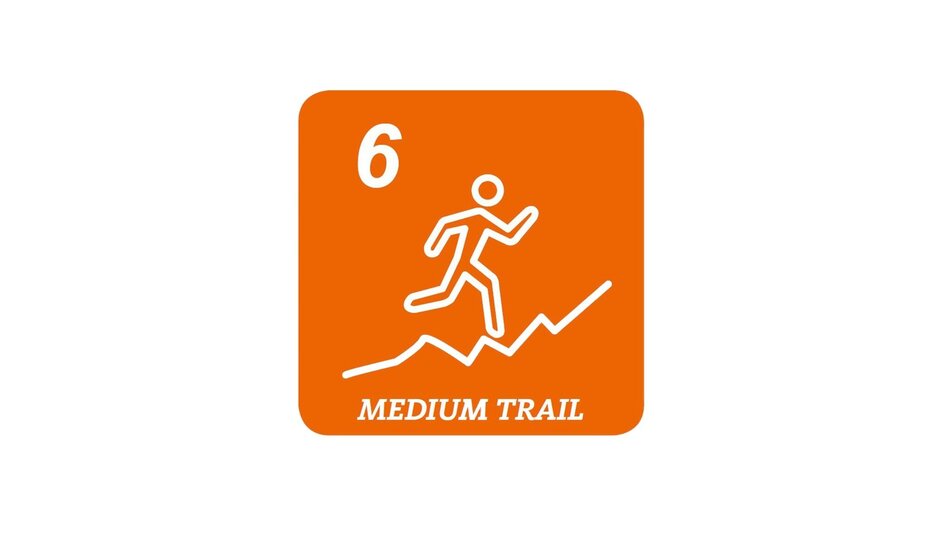 Trail Running Rittis Trail (no. 6) - Touren-Impression #2.3 | © Erlebnisregion Schladming-Dachstein