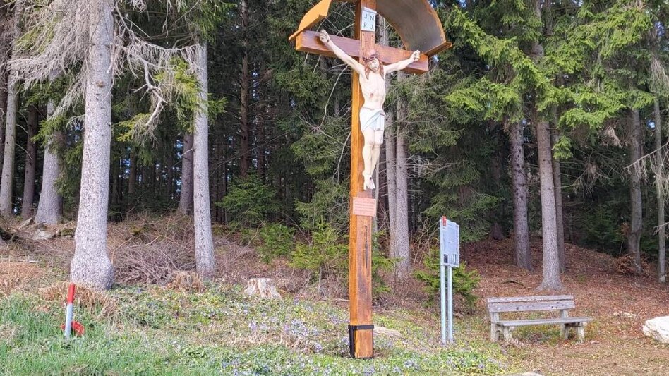 Themen- und Lehrpfad HWW-Wanderroute: St. Lorenzen am Wechsel - Festenburg (RWW) - Touren-Impression #2.3 | © Historischer Verein Wechselland - Dr. Andreas Salmhofer