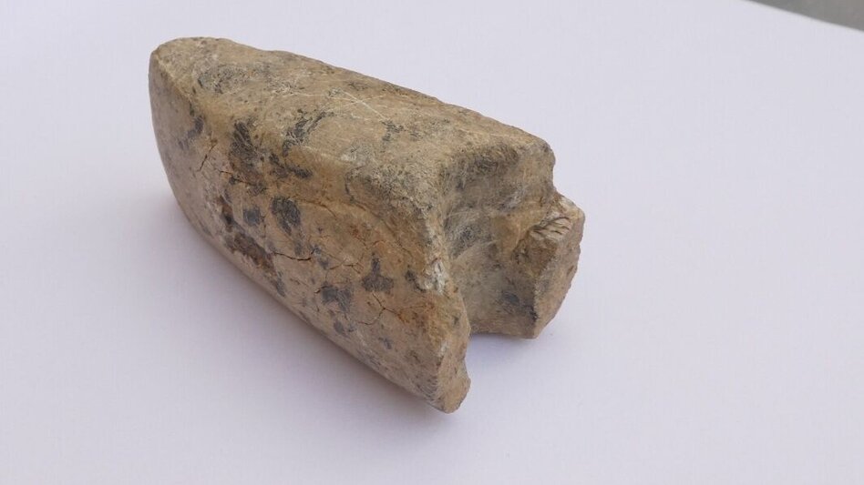 Themen- und Lehrpfad HWW-Wanderroute: St. Lorenzen am Wechsel - Flourls Schenke - Friedberg - Touren-Impression #2.1 | © Historischer Verein Wechselland