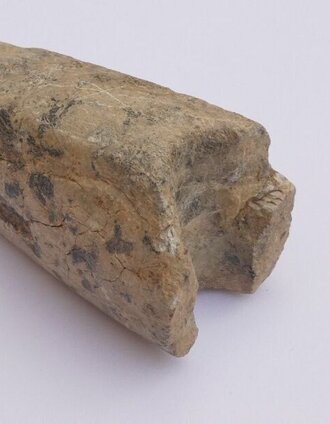 Historischer Weitwanderweg Wechselland - Fundstück | Andreas Salmhofer | © Historischer Verein Wechselland