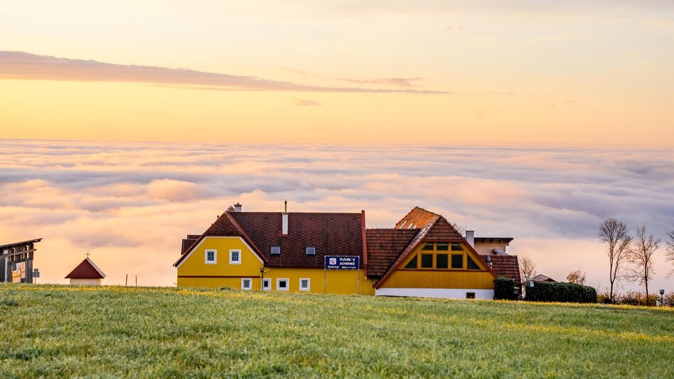 Themen- und Lehrpfad HWW-Wanderroute: St. Lorenzen am Wechsel - Flourls Schenke - Friedberg - Touren-Impression #2.5 | © Oststeiermark Tourismus