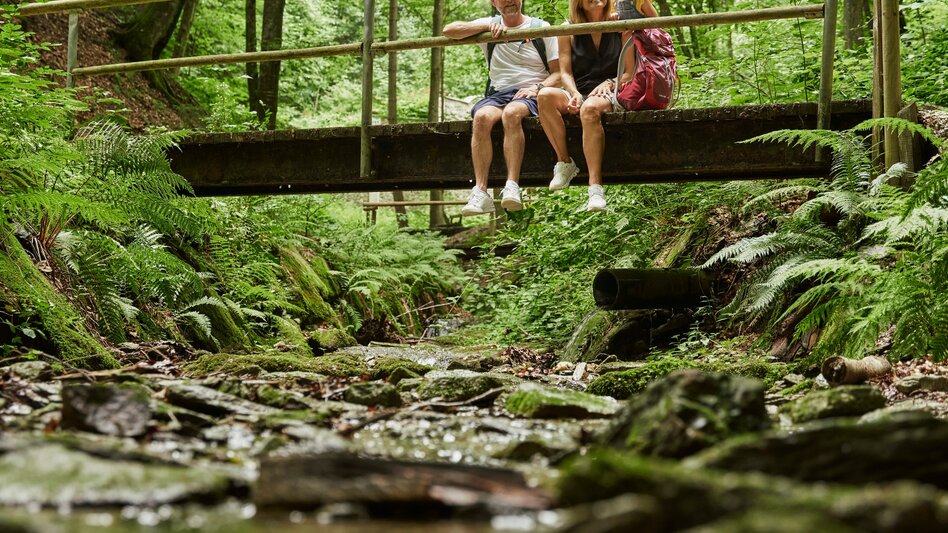 Themen- und Lehrpfad HWW-Wanderroute: St. Lorenzen am Wechsel - Flourls Schenke - Friedberg - Touren-Impression #2.7 | © Oststeiermark Tourismus