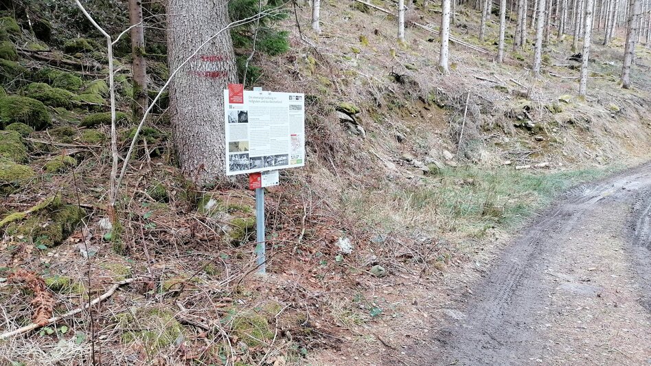 Themen- und Lehrpfad HWW-Wanderroute: Mönichkirchen - Schaueregg/Fichtenhof - Koglreith - Friedberg - Touren-Impression #2.3 | © Historischer Verein Wechselland - Dr. Andreas Salmhofer
