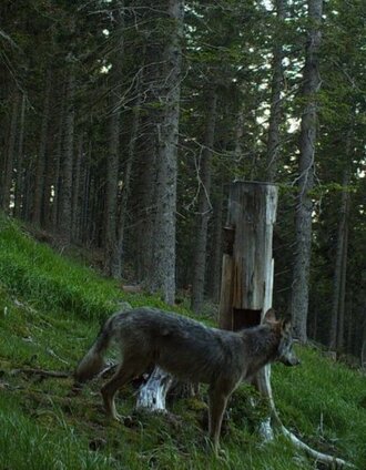 Historischer Weitwanderweg Wechselland | Andreas Salmhofer | © Historischer Verein Wechselland