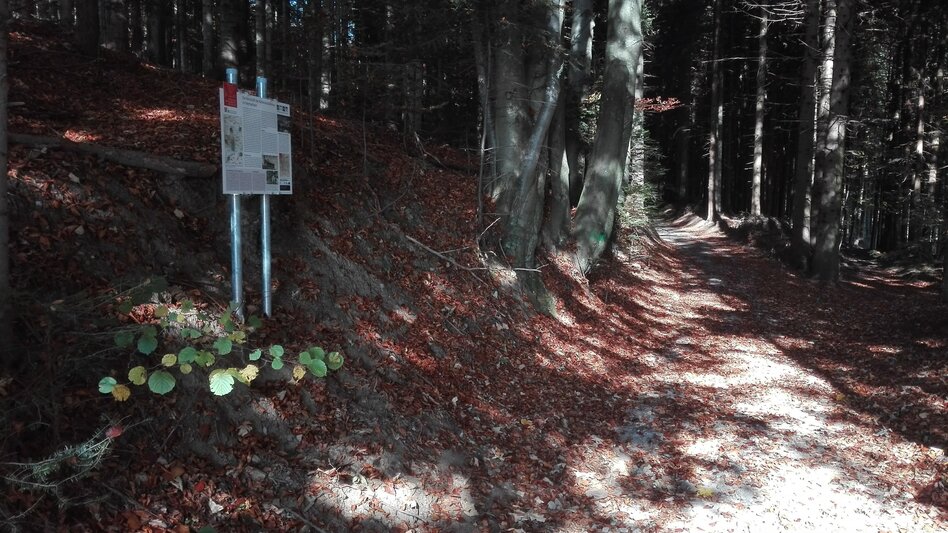 Themen- und Lehrpfad HWW-Wanderroute: Pinggau - Tauchen/Wechsel - Schäffern (RWW) - Touren-Impression #2.5 | © Historischer Verein Wechselland - Dr. Andreas Salmhofer