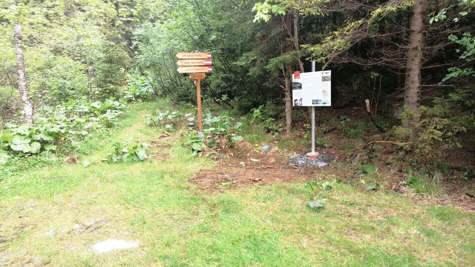 Bergtour HWW-Wanderroute: Mönichkirchen - Hochwechsel (RWW) - Touren-Impression #2.6 | © Historischer Verein Wechselland - Dr. Andreas Salmhofer