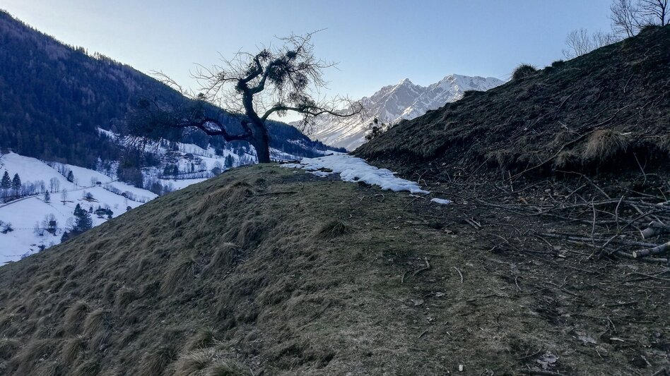 Trail Running Römertrail - Touren-Impression #2.2 | © Erlebnisregion Schladming-Dachstein