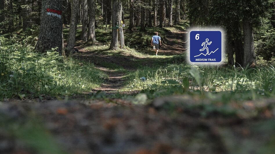 Trailrunning Kohlanger Trail - Touren-Impression #2.4 | © Erlebnisregion Schladming-Dachstein