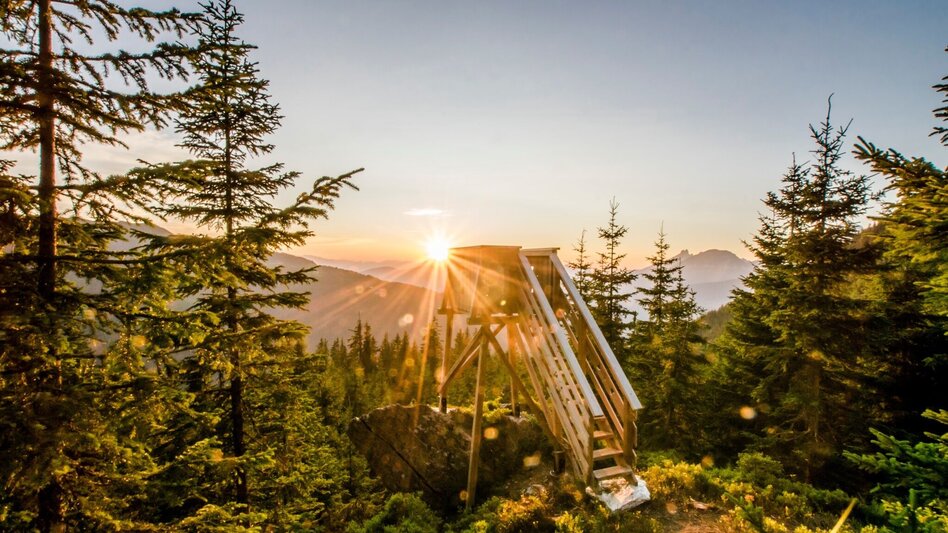 Wanderung Bankerlweg - Touren-Impression #2.9 | © Gerhard Pilz - www.gpic.at
