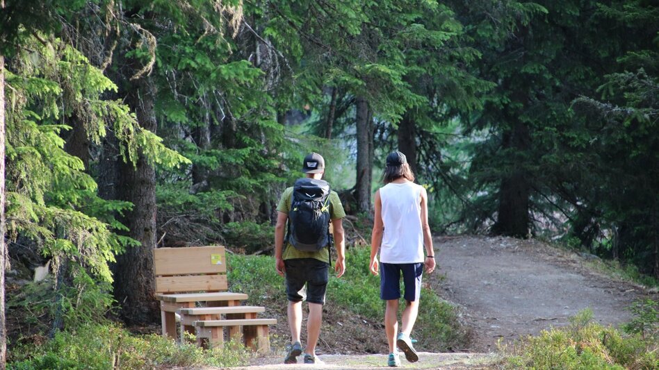 Wanderung Bankerlweg - Touren-Impression #2.10 | © Planai-Hochwurzen-Bahnen