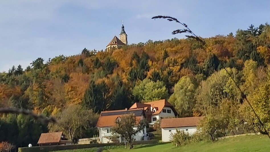 Wanderung Schattenwanderung, RETTER Pöllauberg - Touren-Impression #2.5 | © Oststeiermark Tourismus