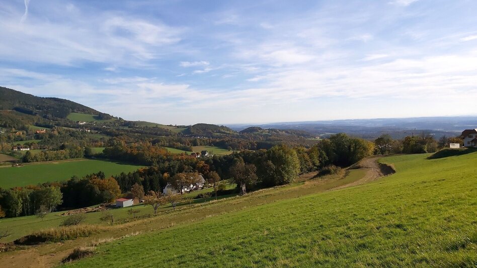 Wanderung Schattenwanderung, RETTER Pöllauberg - Touren-Impression #2.4 | © Oststeiermark Tourismus