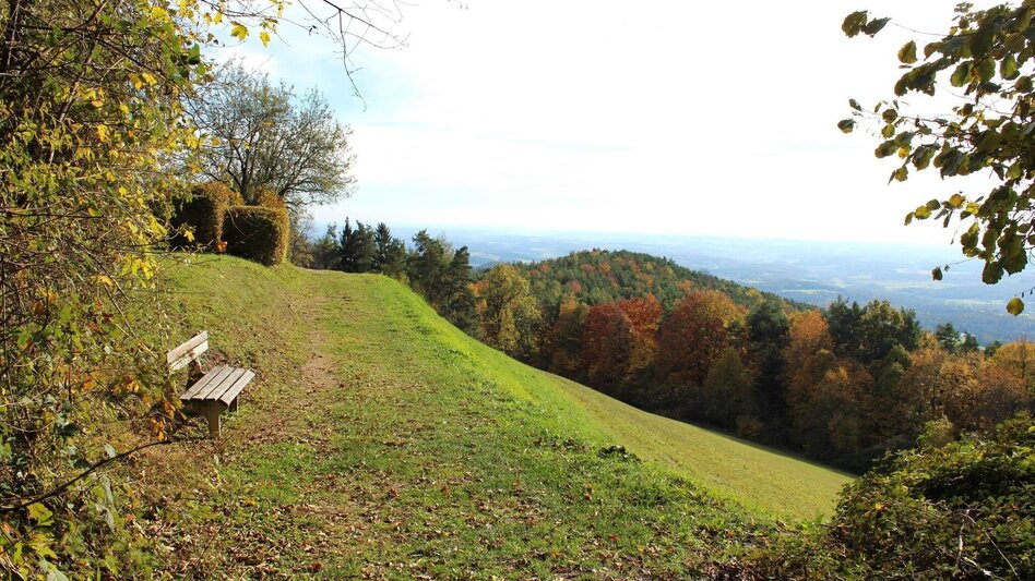 Wanderung Schattenwanderung, RETTER Pöllauberg - Touren-Impression #2.13 | © Oststeiermark Tourismus