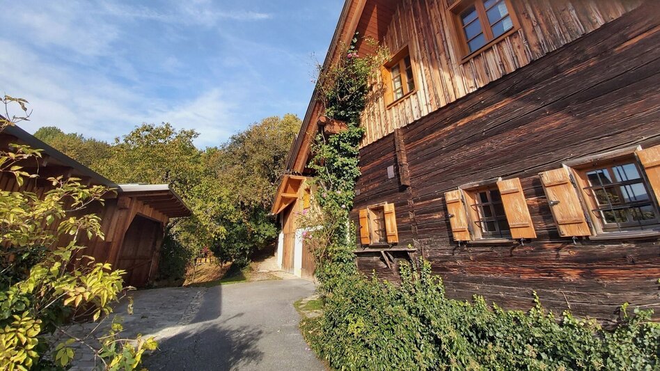 Wanderung Schattenwanderung, RETTER Pöllauberg - Touren-Impression #2.17 | © Oststeiermark Tourismus