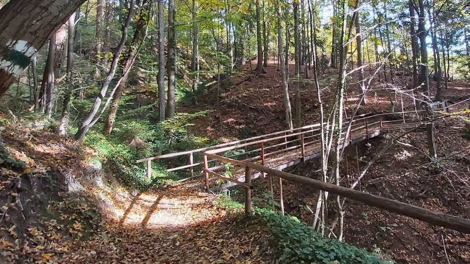 Wanderung Schattenwanderung, RETTER Pöllauberg - Touren-Impression #2.16 | © Oststeiermark Tourismus