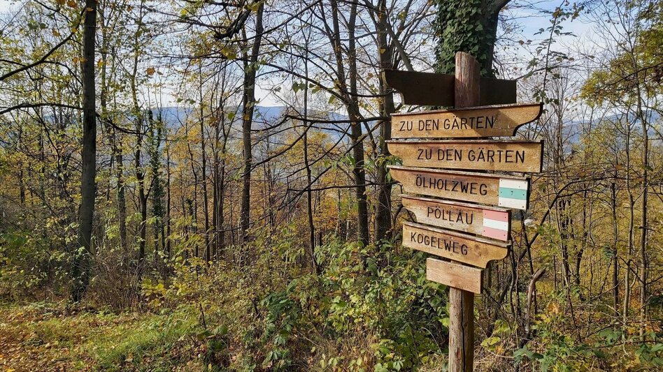 Wanderung Schattenwanderung, RETTER Pöllauberg - Touren-Impression #2.10 | © Oststeiermark Tourismus