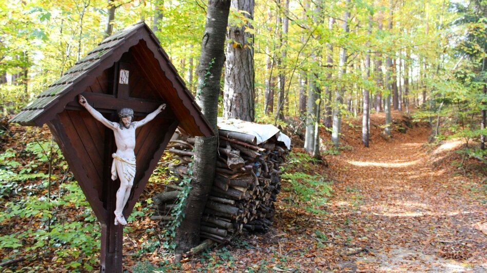 Wanderung Schattenwanderung, RETTER Pöllauberg - Touren-Impression #2.15 | © Oststeiermark Tourismus