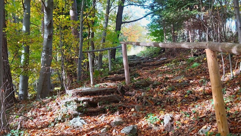 Wanderung Schattenwanderung, RETTER Pöllauberg - Touren-Impression #2.6 | © Oststeiermark Tourismus