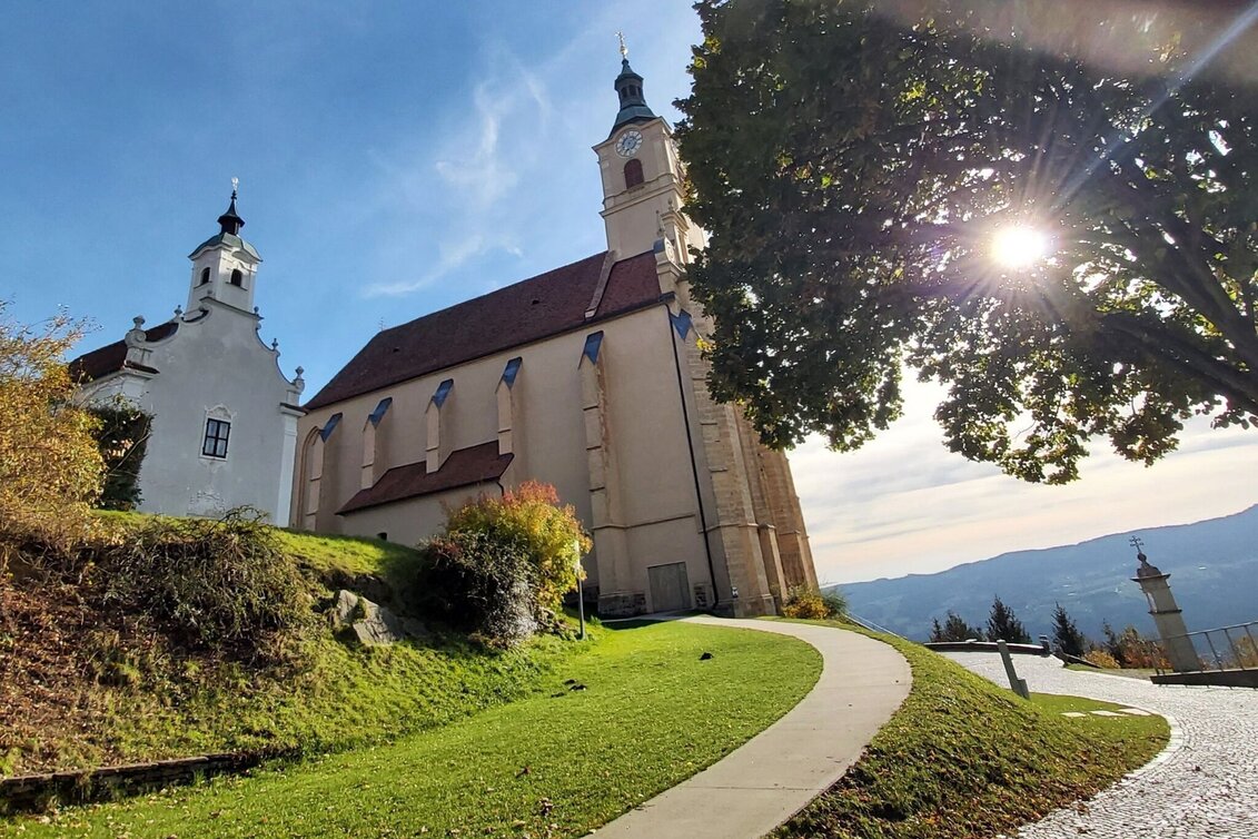 Wanderung Schattenwanderung, RETTER Pöllauberg - Touren-Impression #1 | © Oststeiermark Tourismus