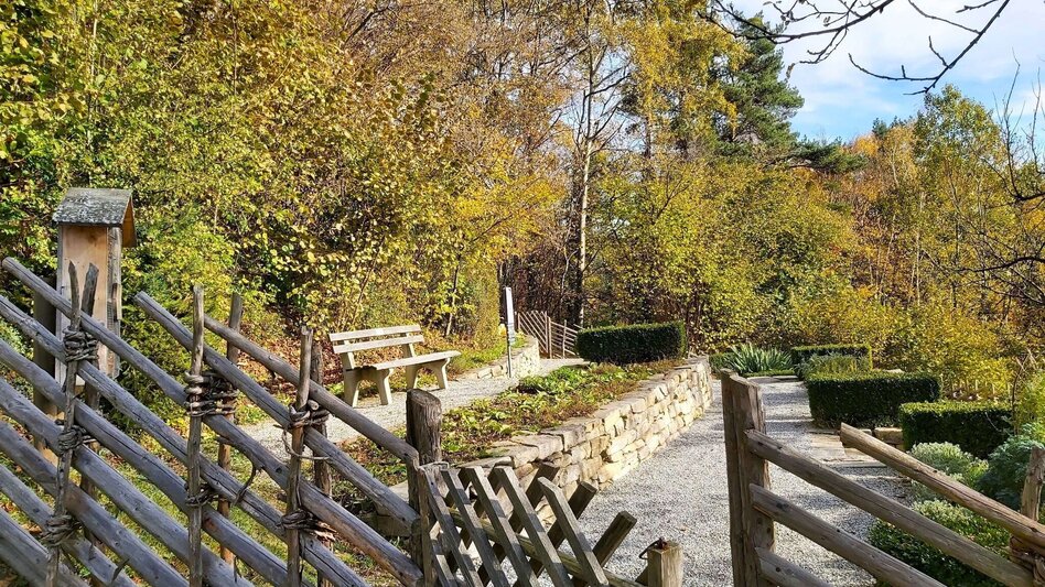 Wanderung Schattenwanderung, RETTER Pöllauberg - Touren-Impression #2.11 | © Oststeiermark Tourismus