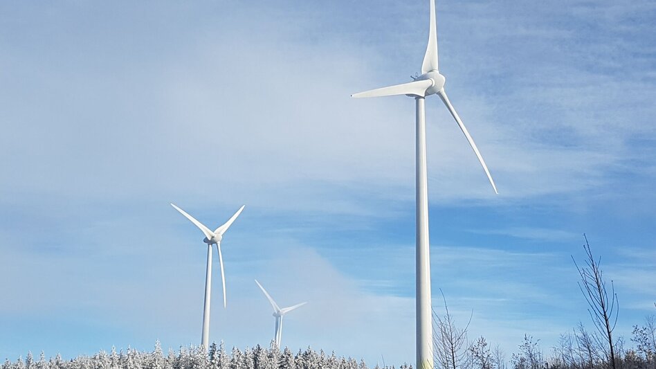 Hiking route Circular trail on the Masenberg, Pöllauberg - Touren-Impression #2.8 | © Oststeiermark Tourismus