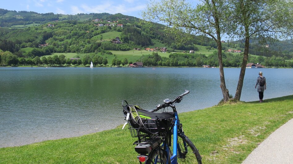 Radfahren Radtour Stubenbergsee, RETTER Pöllauberg - Touren-Impression #2.4 | © Oststeiermark Tourismus