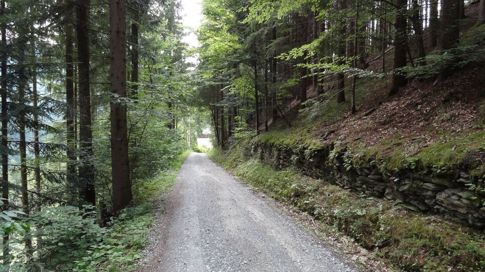Hiking route Alte Gasnerstrasse hiking trail, Birkfeld - Touren-Impression #2.2 | © Karl Zodl