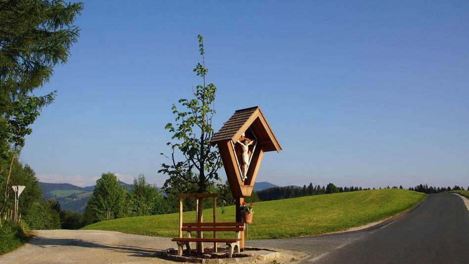 Hiking route Alte Gasnerstrasse hiking trail, Birkfeld - Touren-Impression #2.1 | © Karl Zodl