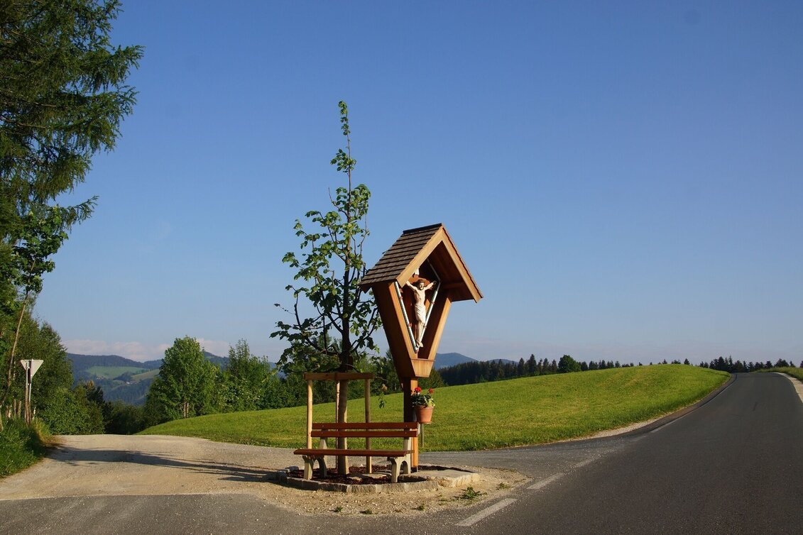 Hiking route Alte Gasnerstrasse hiking trail, Birkfeld - Touren-Impression #1 | © Karl Zodl