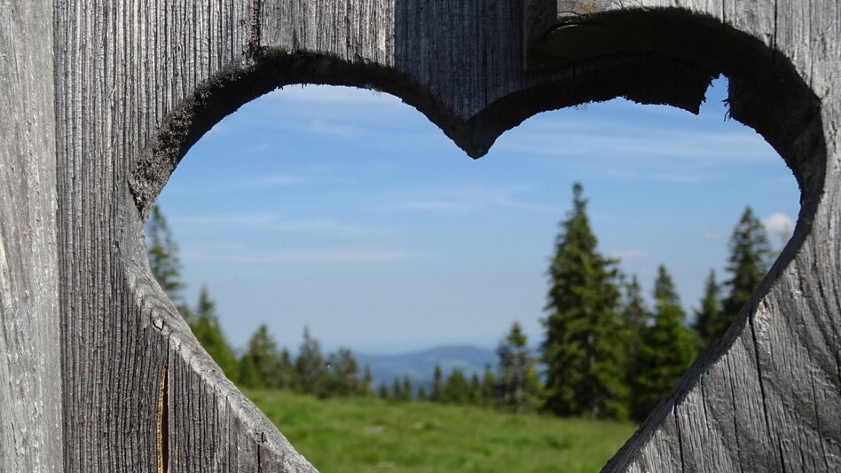 Wanderung Von Fischbach auf den Teufelstein - Touren-Impression #2.2 | © Tourismus Fischbach